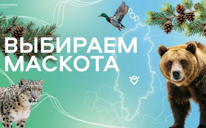 Международный аэропорт Красноярск ищет своего героя