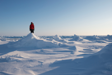 Туристические маршруты с Таймыра на Северный полюс запустят в следующем году