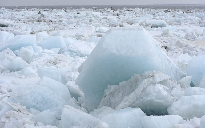 Ученые разработали долгосрочный прогноз ледовой обстановки на Севморпути