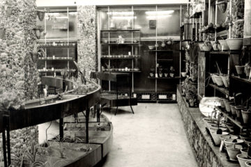 1 октября 1970 года в Норильске открылся магазин «Цветы»