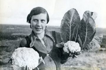 На заполярных сельхозугодьях лучше всего приживалась капуста