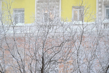 «Нелетная погода» заинтересовала профессионалов и широкую публику