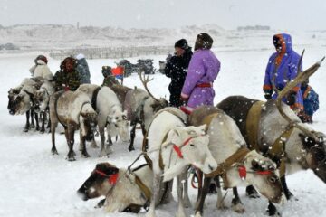 Красноярский край улучшил меры и порядок поддержки коренных народов Севера