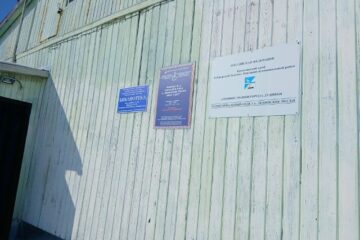 В поселке Левинские Пески привили домашних питомцев от бешенства