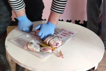 Старожилы Волочанки поделились секретами приготовления строганины