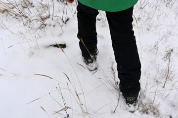День полярника – 21 мая чествуем покорителей Крайнего Севера