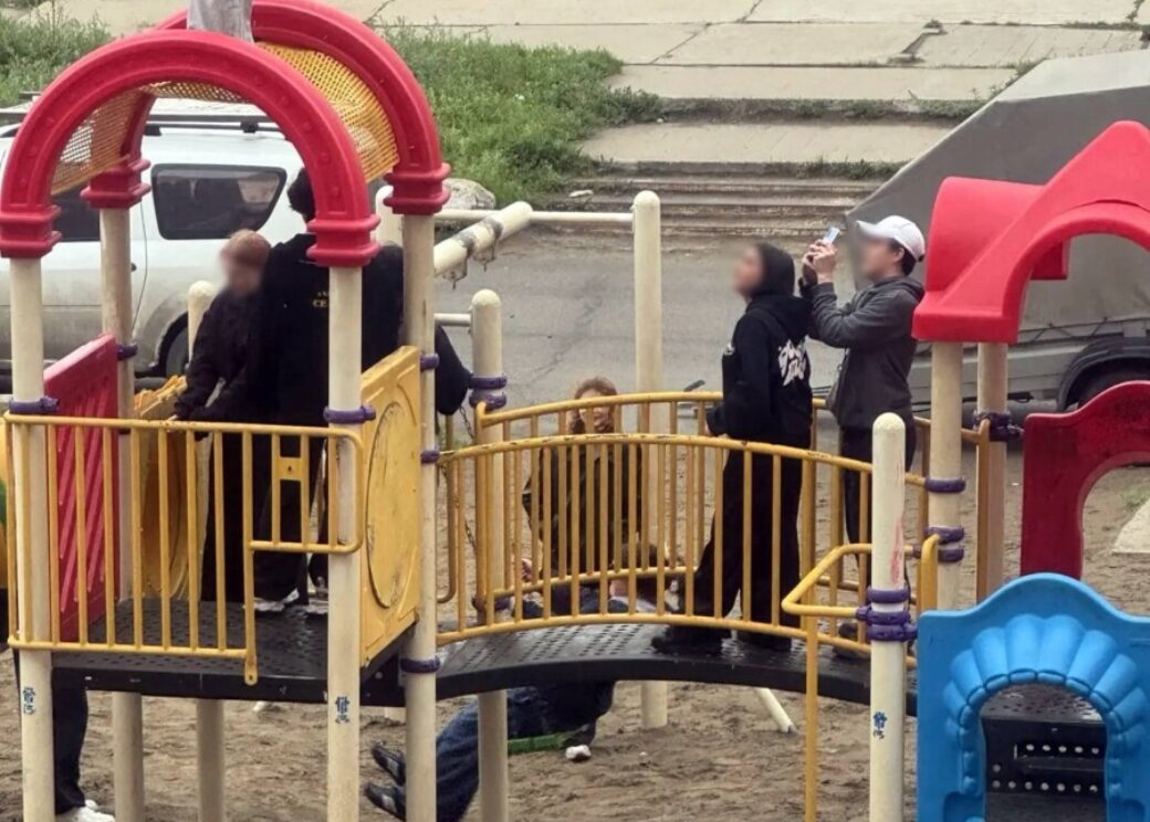 Очередные случаи вандализма на детских площадках зафиксировали в Дудинке