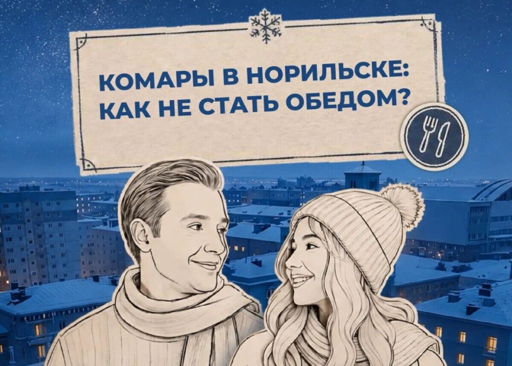Как не стать обедом для комаров в Норильске, выяснили ведущие проекта «Правила холода»