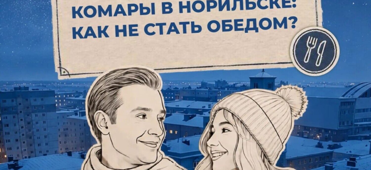 Как не стать обедом для комаров в Норильске, выяснили ведущие проекта «Правила холода»