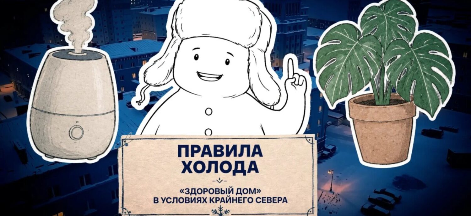 Нужно ли проветривать квартиру зимой или свежий воздух обеспечат комнатные растения